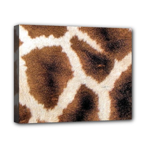 Giraffe Skin Texture Canvas 10  x 8  (Stretched) from ArtsNow.com