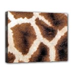 Giraffe Skin Texture Canvas 14  x 11  (Stretched)