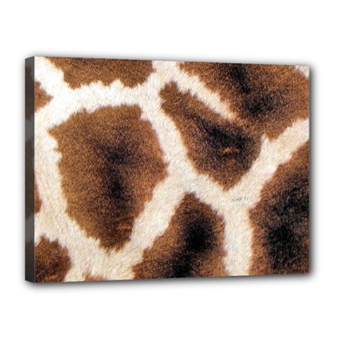 Giraffe Skin Texture Canvas 16  x 12  (Stretched) from ArtsNow.com