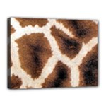 Giraffe Skin Texture Canvas 16  x 12  (Stretched)