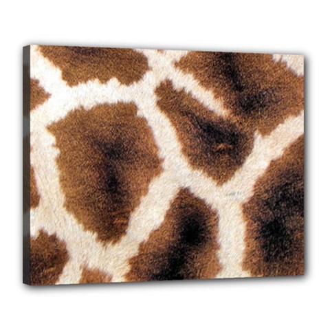 Giraffe Skin Texture Canvas 20  x 16  (Stretched) from ArtsNow.com