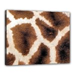 Giraffe Skin Texture Canvas 20  x 16  (Stretched)