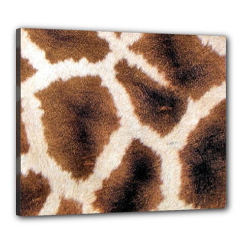 Giraffe Skin Texture Canvas 24  x 20  (Stretched) from ArtsNow.com