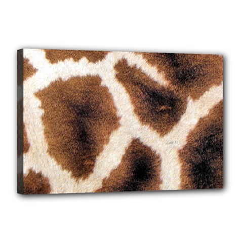 Giraffe Skin Texture Canvas 18  x 12  (Stretched) from ArtsNow.com