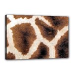 Giraffe Skin Texture Canvas 18  x 12  (Stretched)