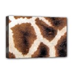 Giraffe Skin Texture Deluxe Canvas 18  x 12  (Stretched)