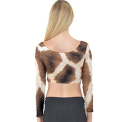 Long Sleeve Crop Top 