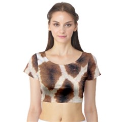 Short Sleeve Crop Top 