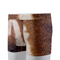 Men s Boxer Briefs 