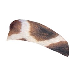 Stretchable Headband 