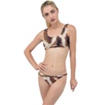 Giraffe Skin Texture The Little Details Bikini Set