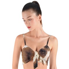 Woven Tie Front Bralet 