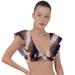 Giraffe Skin Texture Plunge Frill Sleeve Bikini Top