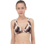 Giraffe Skin Texture Classic Banded Bikini Top