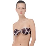 Giraffe Skin Texture Classic Bandeau Bikini Top 