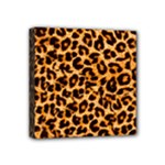 Giraffe Texture, Close-up, Giraffe Skin Texture Mini Canvas 4  x 4  (Stretched)