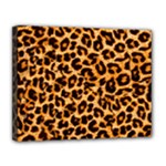 Giraffe Texture, Close-up, Giraffe Skin Texture Canvas 14  x 11  (Stretched)