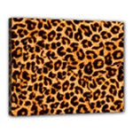 Giraffe Texture, Close-up, Giraffe Skin Texture Canvas 20  x 16  (Stretched)