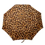 Giraffe Texture, Close-up, Giraffe Skin Texture Folding Umbrellas