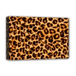 Giraffe Texture, Close-up, Giraffe Skin Texture Deluxe Canvas 18  x 12  (Stretched)