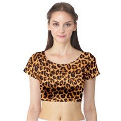 Short Sleeve Crop Top 