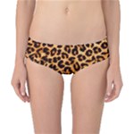 Giraffe Texture, Close-up, Giraffe Skin Texture Classic Bikini Bottoms