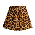 Giraffe Texture, Close-up, Giraffe Skin Texture Mini Flare Skirt