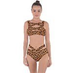 Giraffe Texture, Close-up, Giraffe Skin Texture Bandaged Up Bikini Set 