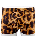 Giraffe Texture, Close-up, Giraffe Skin Texture Men s Boxer Briefs