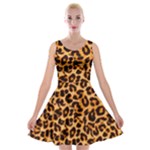 Giraffe Texture, Close-up, Giraffe Skin Texture Velvet Skater Dress