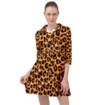 Giraffe Texture, Close-up, Giraffe Skin Texture Mini Skater Shirt Dress