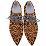 Giraffe Texture, Close-up, Giraffe Skin Texture Pointed Oxford Shoes