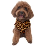 Giraffe Texture, Close-up, Giraffe Skin Texture Dog Sweater