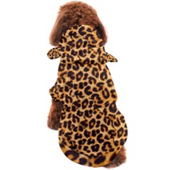 Dog Coat 