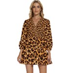 Giraffe Texture, Close-up, Giraffe Skin Texture V-Neck Placket Mini Dress