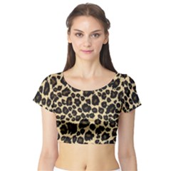 Short Sleeve Crop Top 