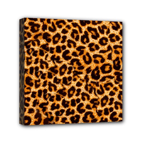 Leopard Skin Texture Macro, Brown Mini Canvas 6  x 6  (Stretched) from ArtsNow.com