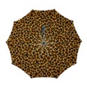 Automatic Folding Umbrella with Case (Large) 