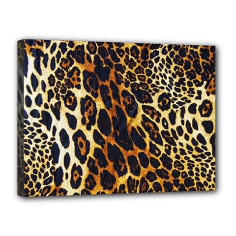 Leopard Skin Texture, Macro, Brown Canvas 16  x 12  (Stretched) from ArtsNow.com