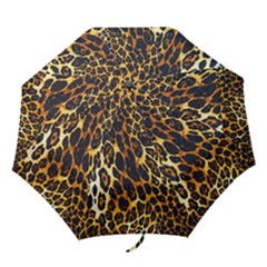 Folding Umbrella 