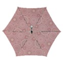 Automatic Folding Umbrella with Case (Small) 