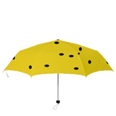 Folding Umbrella 