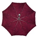 Automatic Folding Umbrella with Case (Medium) 