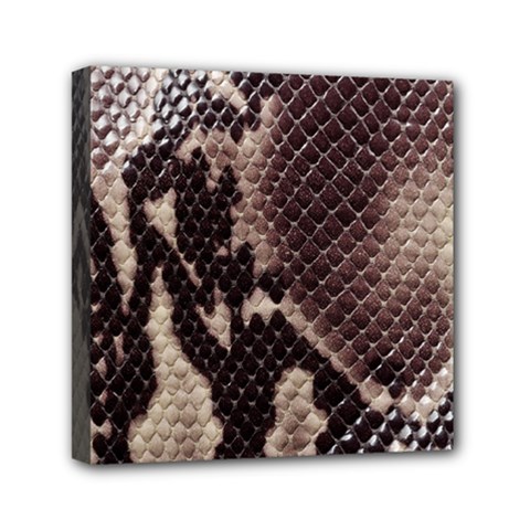 Snake Skin, Reptile Skin, Snake Skin Textures, Brown Snake Mini Canvas 6  x 6  (Stretched) from ArtsNow.com