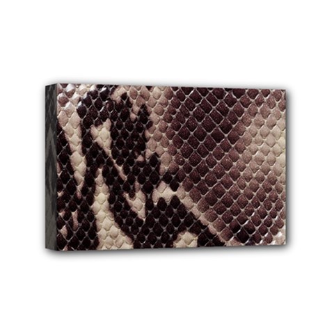 Snake Skin, Reptile Skin, Snake Skin Textures, Brown Snake Mini Canvas 6  x 4  (Stretched) from ArtsNow.com