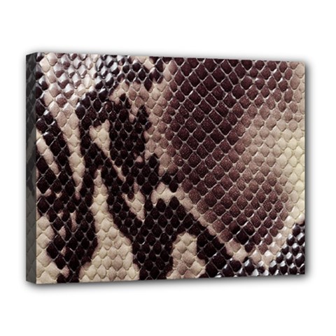 Snake Skin, Reptile Skin, Snake Skin Textures, Brown Snake Canvas 14  x 11  (Stretched) from ArtsNow.com