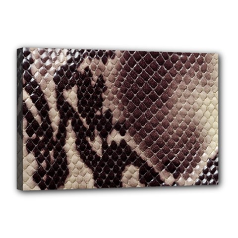 Snake Skin, Reptile Skin, Snake Skin Textures, Brown Snake Canvas 18  x 12  (Stretched) from ArtsNow.com