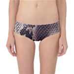 Snake Skin, Reptile Skin, Snake Skin Textures, Brown Snake Classic Bikini Bottoms