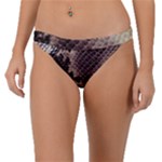 Snake Skin, Reptile Skin, Snake Skin Textures, Brown Snake Band Bikini Bottoms