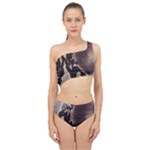 Snake Skin, Reptile Skin, Snake Skin Textures, Brown Snake Spliced Up Two Piece Swimsuit